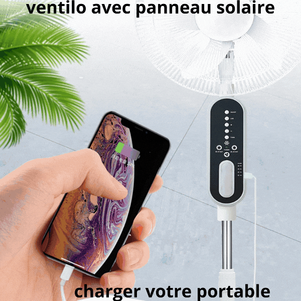 VENTILATEUR AVEC PANNEAU SOLAIRE
