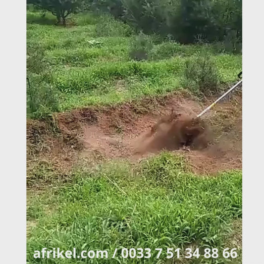 TRACTEUR DE MARCHE A PIEDS